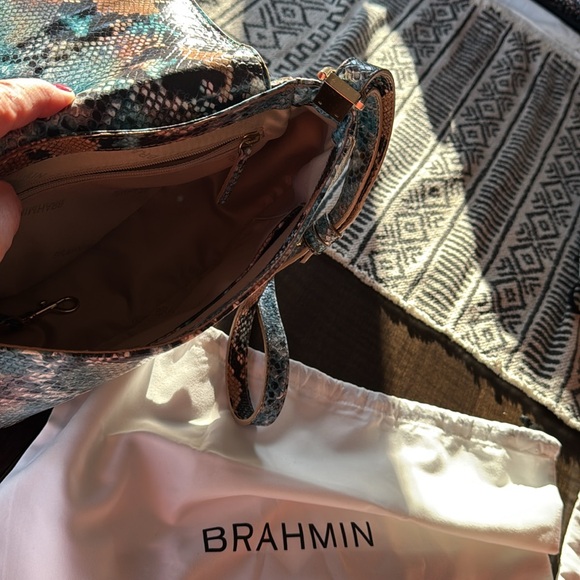 Brahmin - Picture 3 of 3